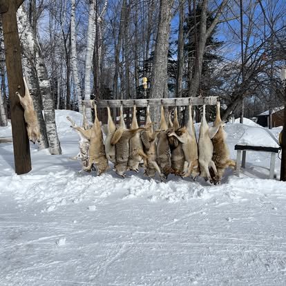 489624483_1130217799118744_7942382507631509553_n